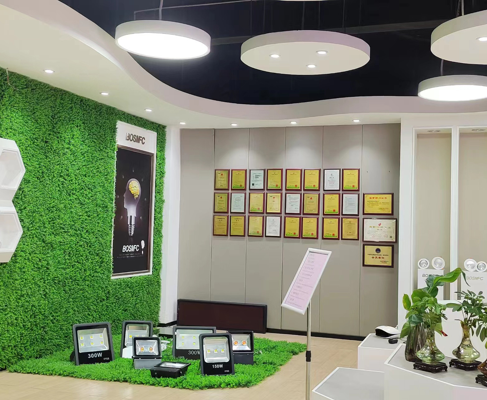চীন Dongguan Lanjin Optoelectronics Co., Ltd. সংস্থা প্রোফাইল