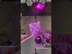 2835 SMD LED PCB পূর্ণ বর্ণালী COB উদ্ভিদ জন্য LED বৃদ্ধি হালকা