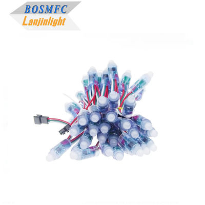 আরজিবি ফুল কালার পিক্সেল ওয়াটারপ্রুফ WS2811 পিক্সেল ডিজিটাল অ্যাড্রেসযোগ্য এলইডি গ্লোব স্ট্রিং লাইট 12 মিমি ডিসি 5 ভোল্ট